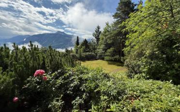 Villa 18 Zimmer - image - 1