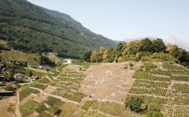 Agricultural land - image - 2
