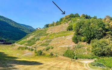 Agricultural land - image - 3