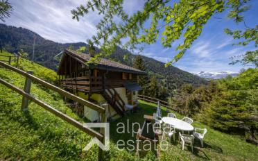 Chalet 4.5 pièces - image - 1