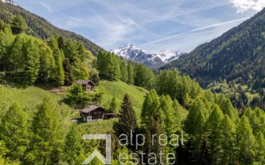 Chalet 4.5 pièces - image - 13