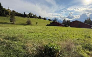 Chalet 5.5 Zimmer - image - 9