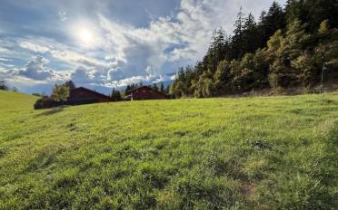 Chalet 5.5 Zimmer - image - 8
