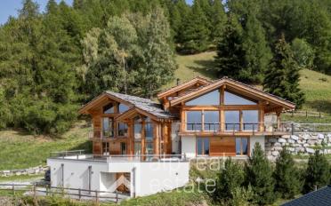 Chalet 7.5 pièces - image - 1