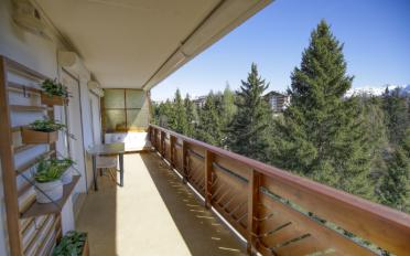 Apartment 2.5 rooms - image - 11