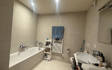 Loft 3 Zimmer - image - 6