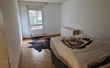 Wohnung 4 Zimmer - image - 4