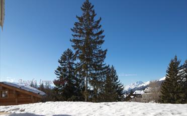 Duplex 5 Zimmer - image - 15