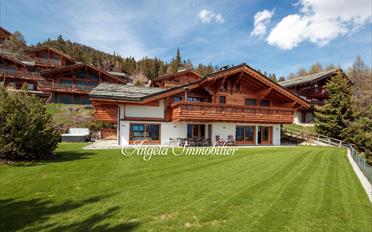 Duplex 6 rooms - image - 1