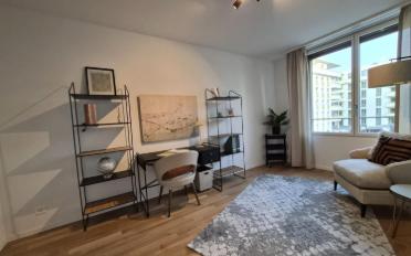 Attic flat 5.5 rooms - image - 5