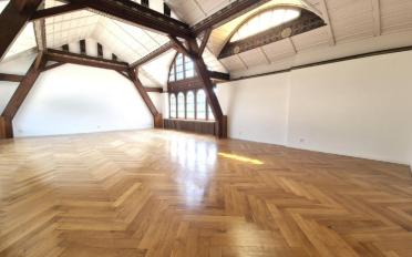 Loft 1 pièce - image - 3