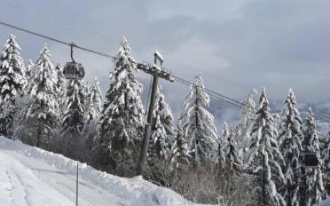 Wohnung 3.5 Zimmer - image - 8