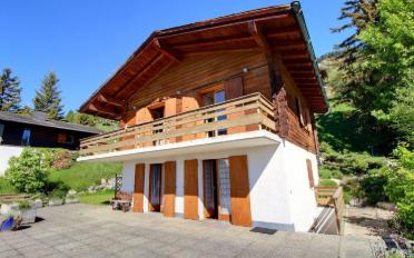 Chalet 4.5 pièces - image - 1