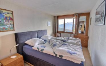 Wohnung 2 Zimmer - image - 7
