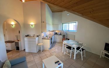 Wohnung 2.5 Zimmer - image - 5