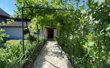 Einfamilienhaus - image - 28