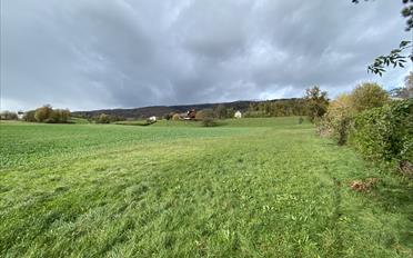 Bauland - image - 1