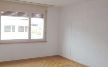 Appartement 3.5 pièces - image - 12