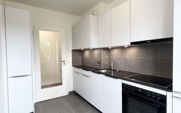 Apartment 3.5 rooms - image - 4