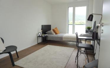 Apartment 3.5 rooms - image - 7