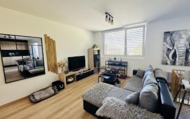 Appartement 2.5 pièces - image - 2