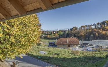 Duplex 5.5 pièces - image - 7