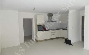 Terrassenwohnung 2.5 Zimmer - image - 3
