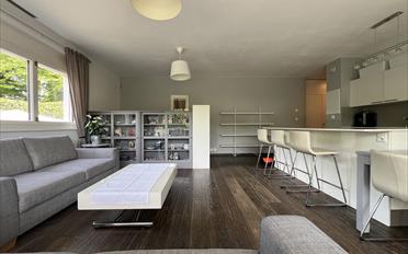 Terrace flat 5 rooms - image - 3