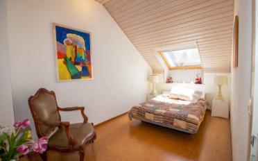 Doppeleinfamilienhaus 6.5 Zimmer - image - 5