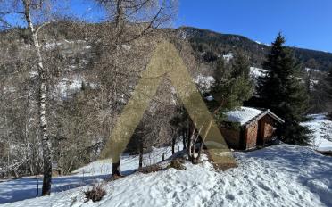 Chalet 2 Zimmer - image - 10