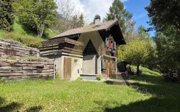 Chalet 2 Zimmer - image - 9
