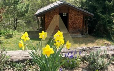 Chalet 2 rooms - image - 12