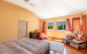 Single house 11 rooms - image - 7