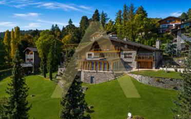 Chalet 18 pièces - image - 1
