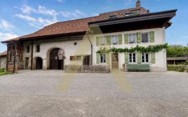 Appartement - image - 12