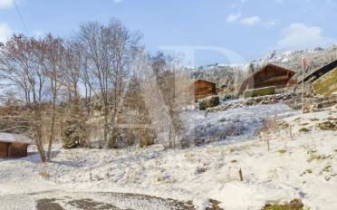 Bauland - image - 2