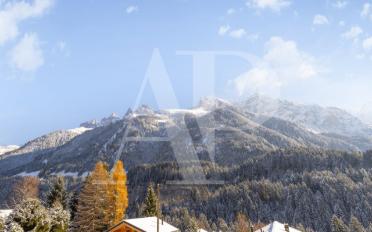 Chalet 5.5 pièces - image - 12