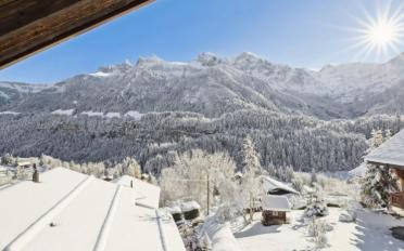 Chalet 16 Zimmer - image - 5