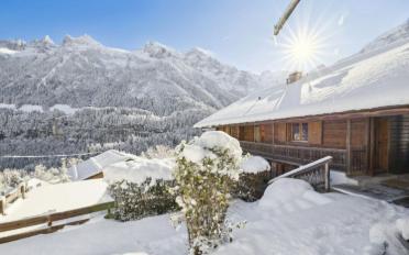 Chalet 16 Zimmer - image - 1