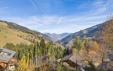 Chalet 6.5 Zimmer - image - 9