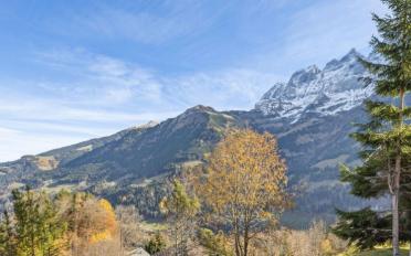 Chalet 6.5 Zimmer - image - 10