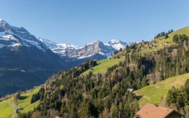 Chalet 6.5 rooms - image - 2