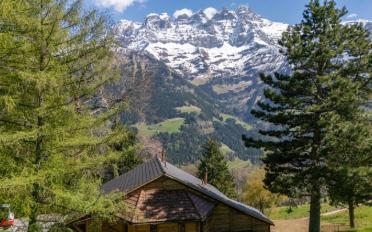 Chalet 6.5 rooms - image - 5