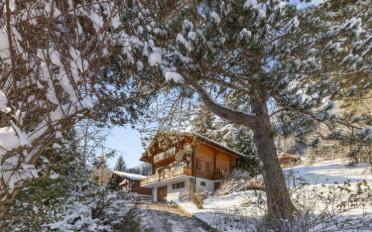 Chalet 5.5 pièces - image - 7