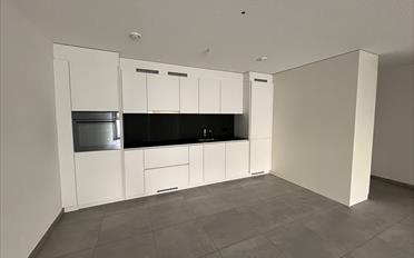 Wohnung 2.5 Zimmer - image - 1