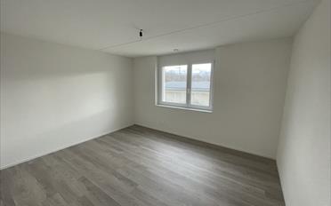 Appartement 4.5 pièces - image - 8