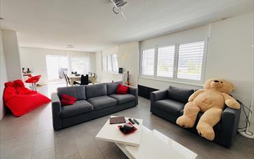 Wohnung 3.5 Zimmer - image - 5