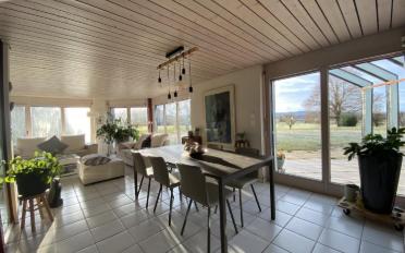 Villa - image - 7