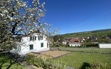 Single house - image - 3