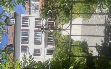 Wohnung 1.5 Zimmer - image - 1